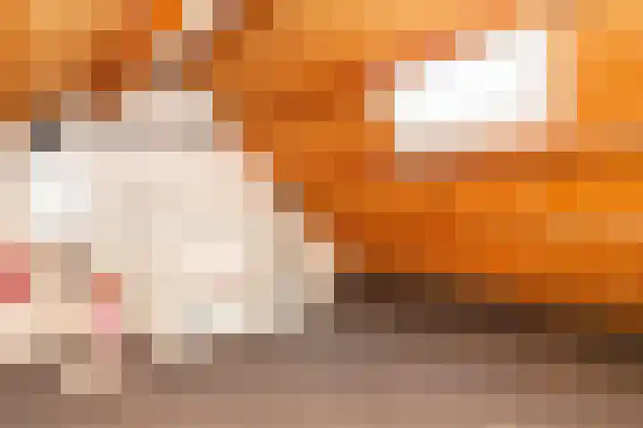 Kooipad 19 Streefkerk thumbnail 24