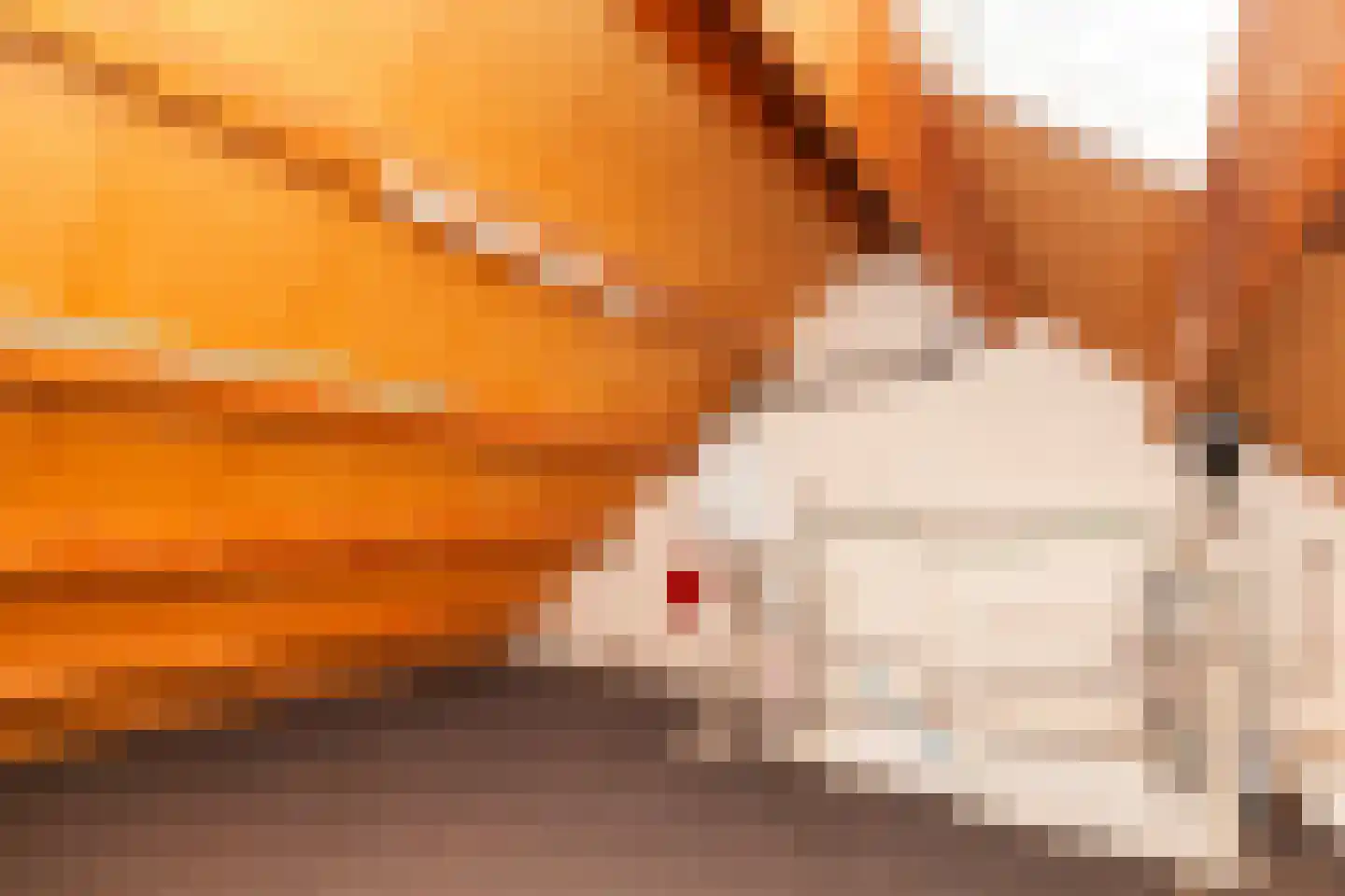 Kooipad 19 Streefkerk thumbnail 25