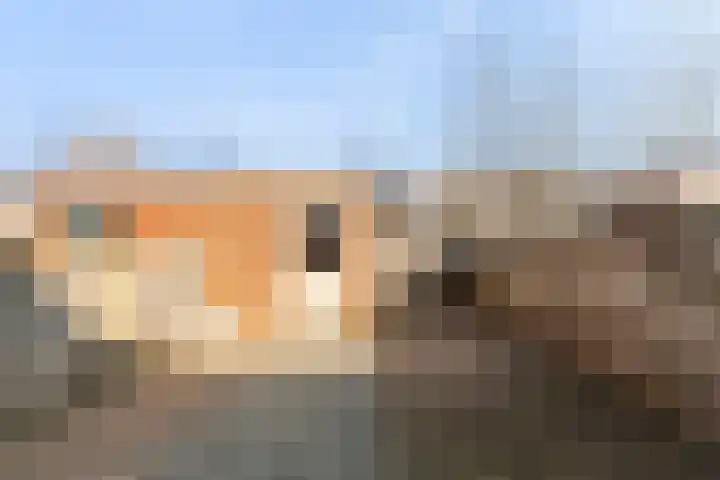 Kooipad 19 Streefkerk thumbnail 27