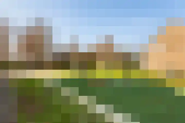 Kooipad 19 Streefkerk thumbnail 29