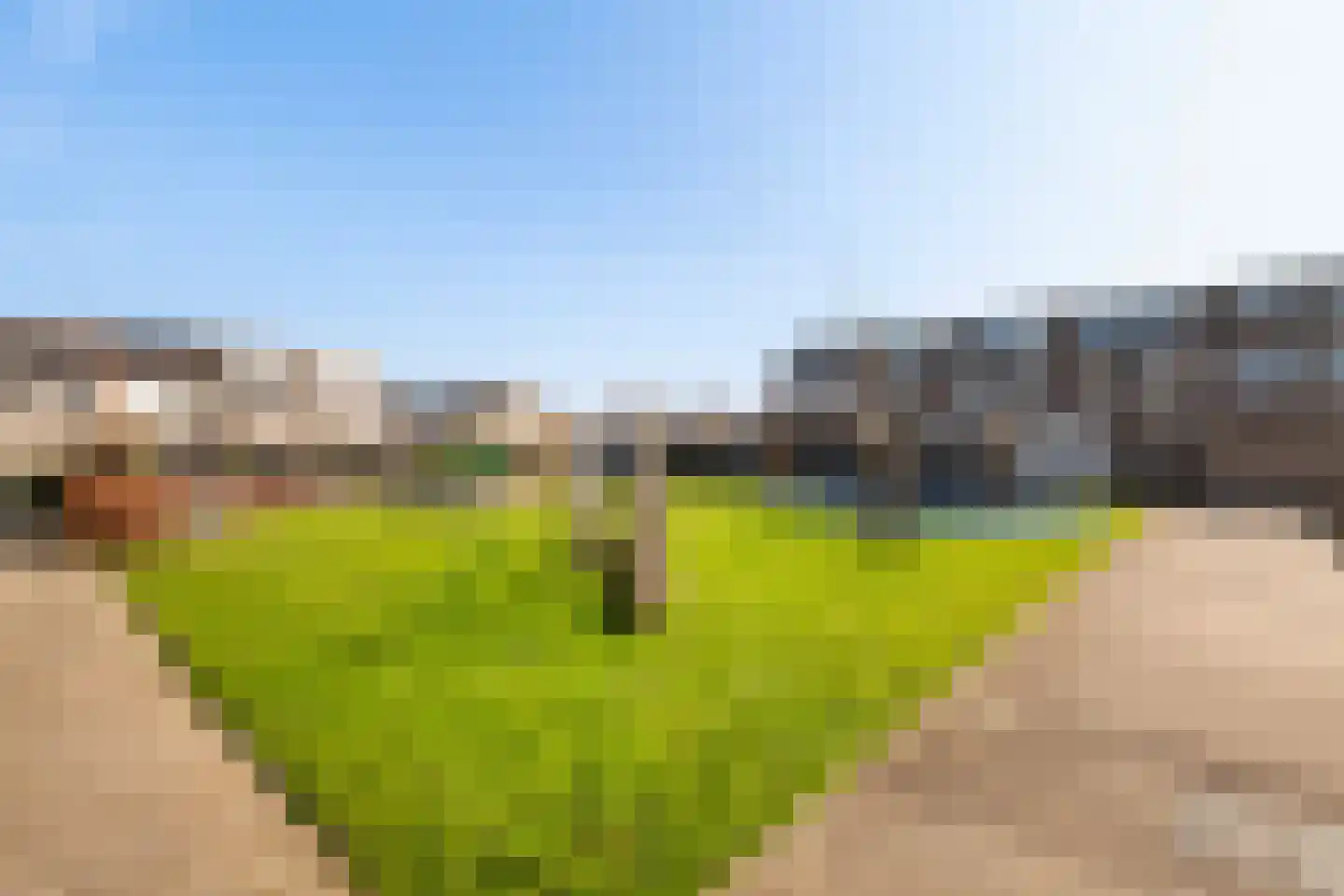 Kooipad 19 Streefkerk thumbnail 30
