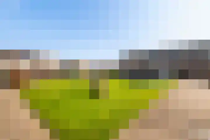 Kooipad 19 Streefkerk thumbnail 30