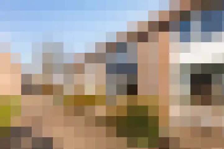 Kooipad 19 Streefkerk thumbnail 33