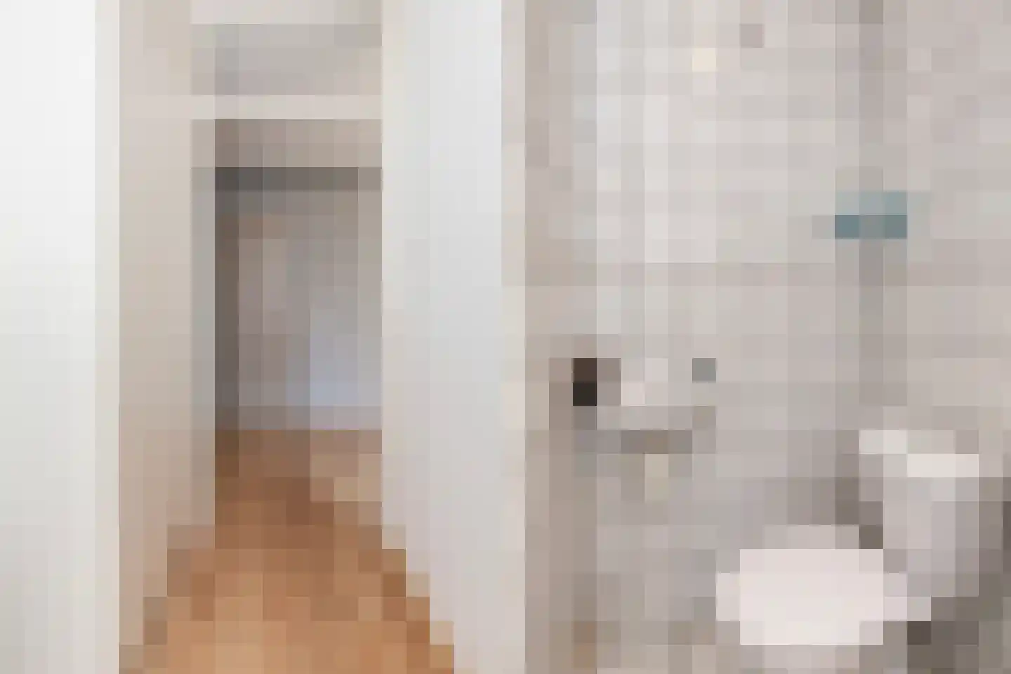 Kooipad 19 Streefkerk thumbnail 4