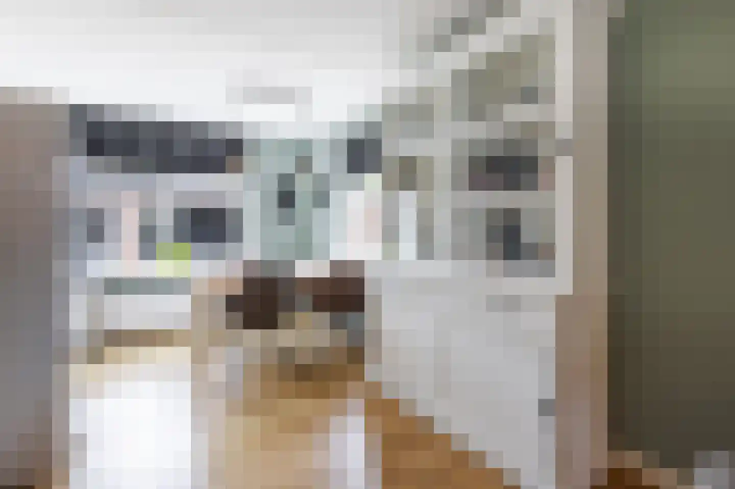 Kooipad 27 Streefkerk thumbnail 6