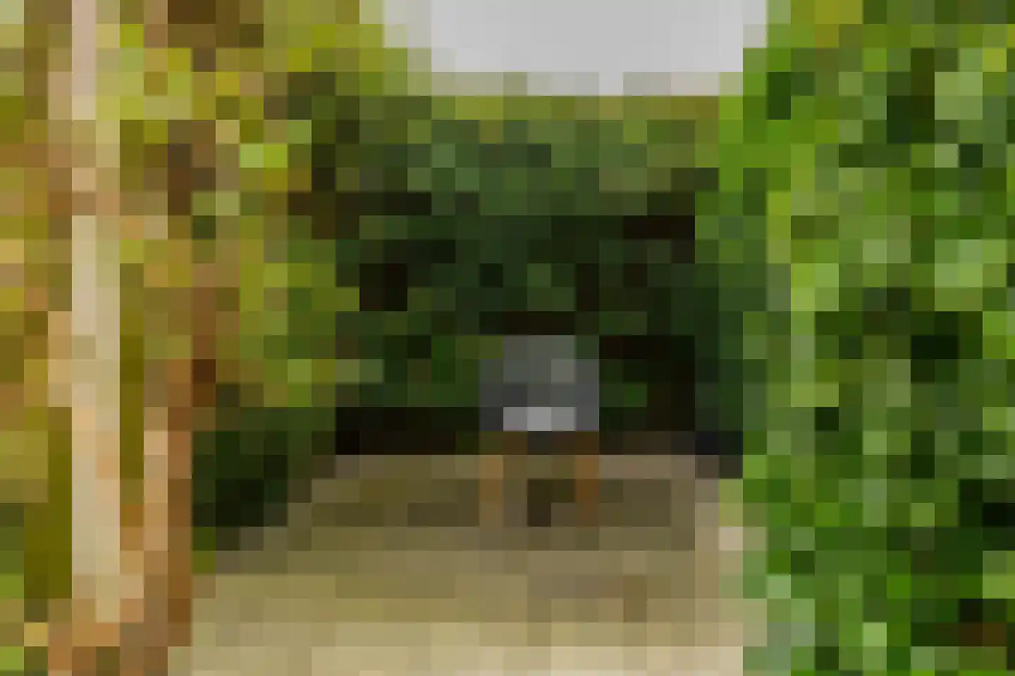 Kooisingel 7 Haren Gn thumbnail 17