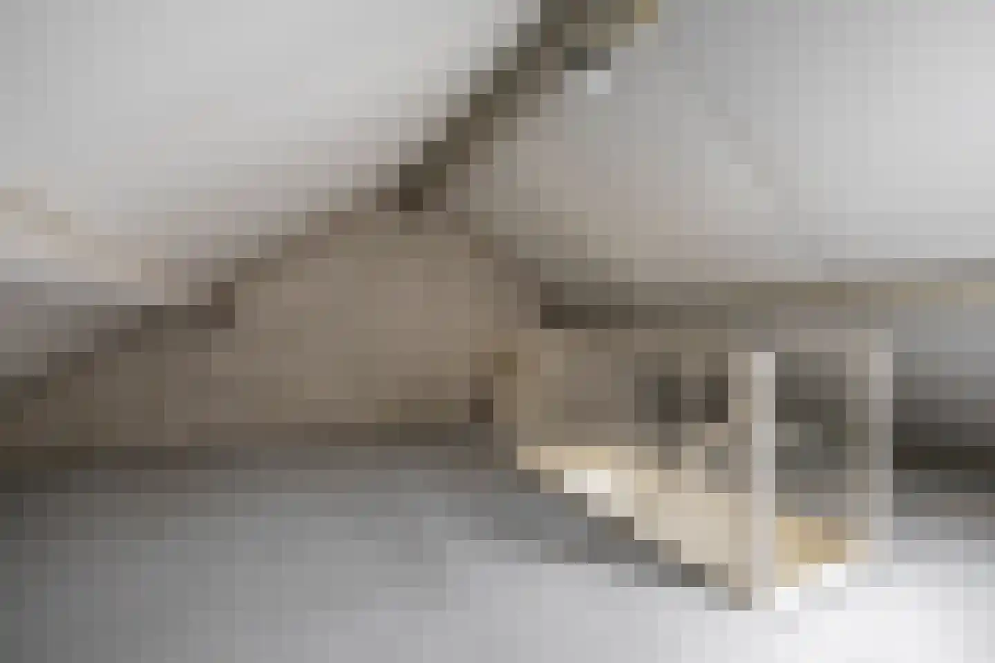Kooisingel 7 Haren Gn thumbnail 33
