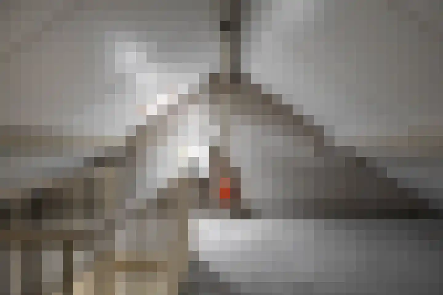 Kooisingel 7 Haren Gn thumbnail 34