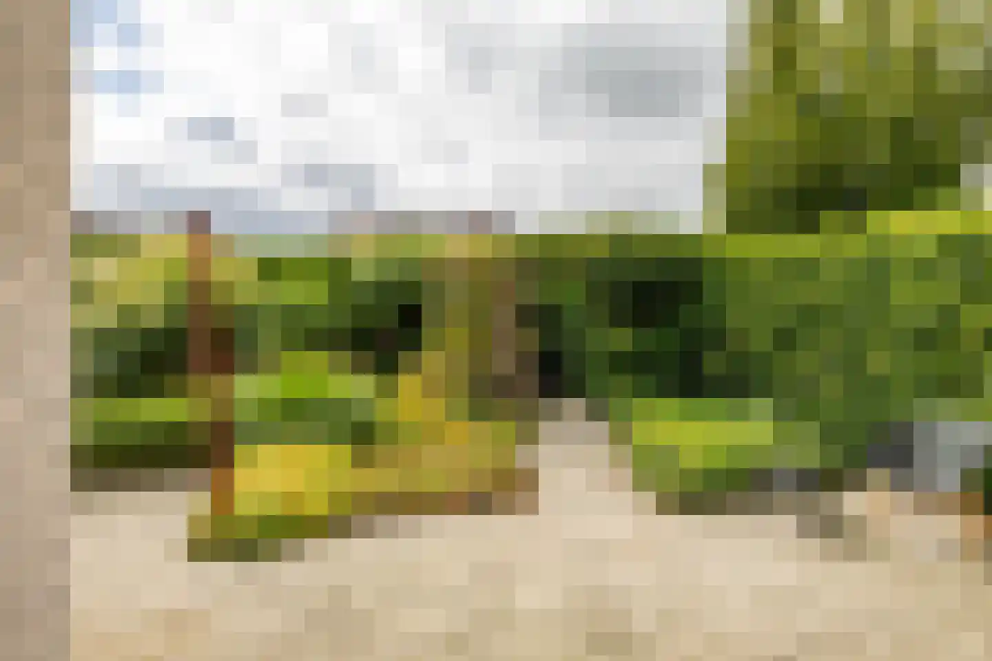 Kooisingel 7 Haren Gn thumbnail 4