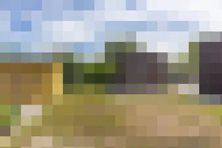 Kooistraat 38 Kantens thumbnail 12