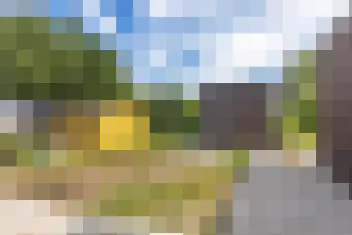 Kooistraat 38 Kantens thumbnail 13