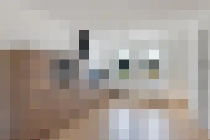 Kooistraat 38 Kantens thumbnail 18
