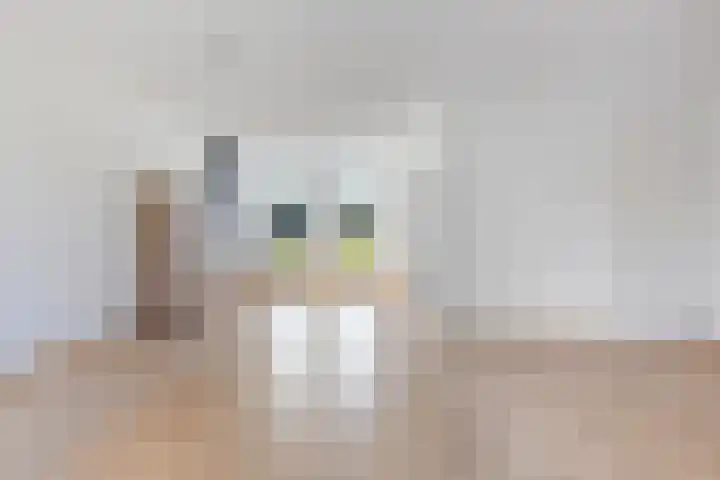 Kooistraat 38 Kantens thumbnail 20