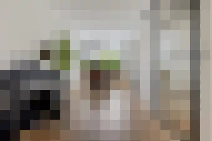 Kooistukken 11 Eelde thumbnail 15