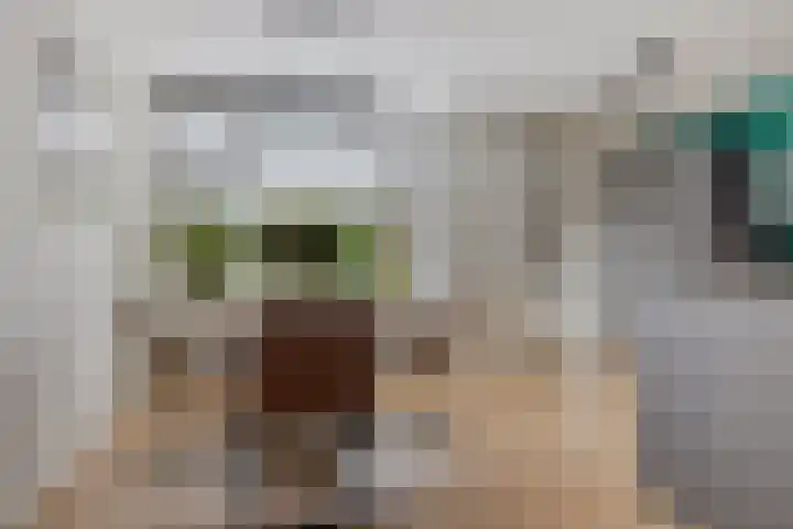 Kooistukken 11 Eelde thumbnail 16
