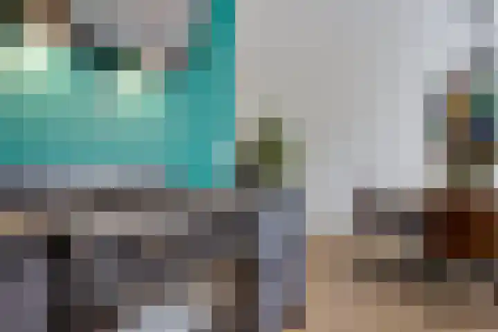 Kooistukken 11 Eelde thumbnail 19