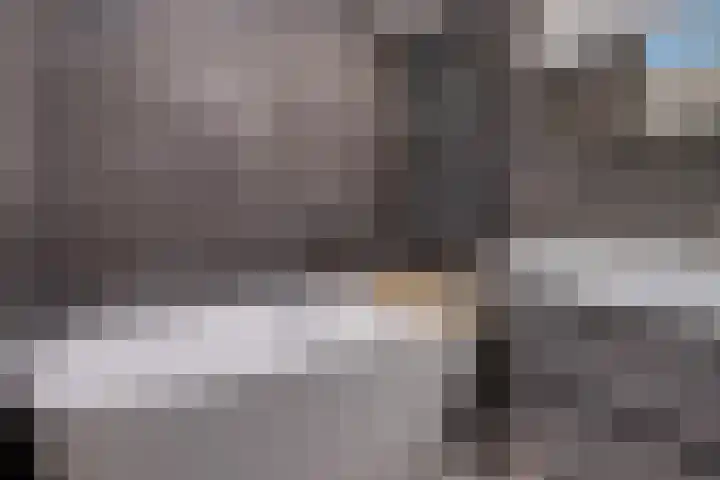 Kooistukken 11 Eelde thumbnail 25