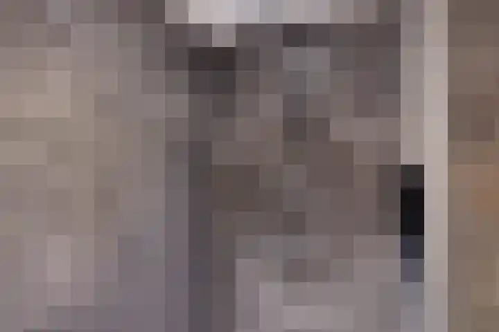 Kooistukken 11 Eelde thumbnail 26