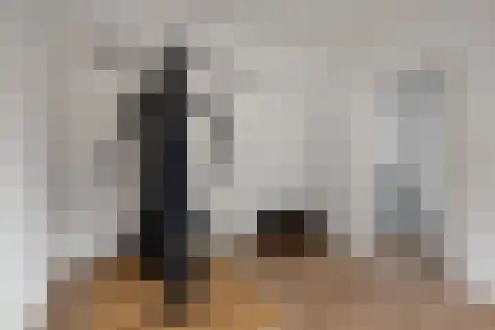 Kooistukken 11 Eelde thumbnail 32