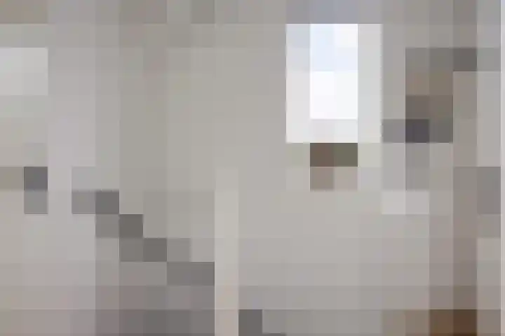 Kooistukken 11 Eelde thumbnail 33