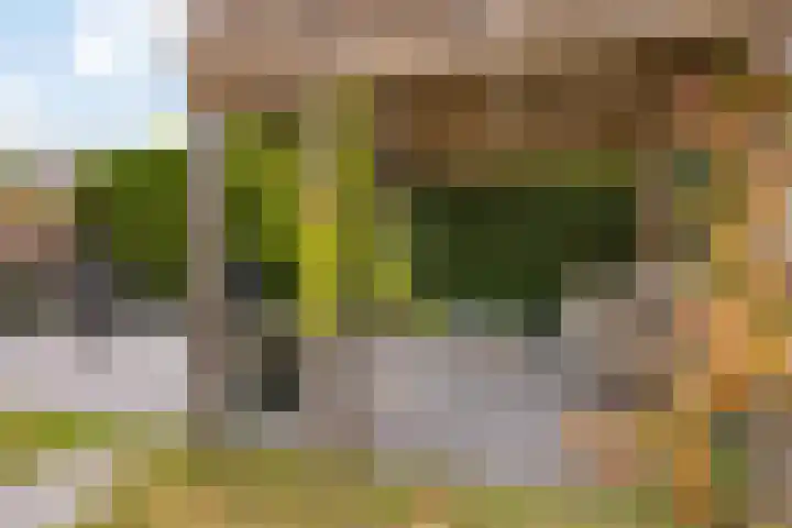 Kooistukken 11 Eelde thumbnail 37