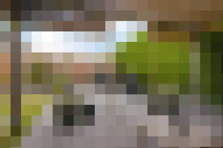 Kooistukken 11 Eelde thumbnail 38