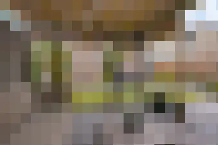 Kooistukken 11 Eelde thumbnail 39