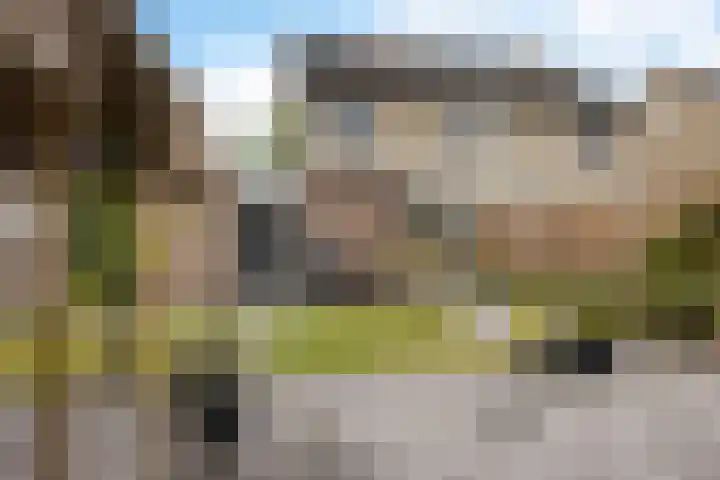 Kooistukken 11 Eelde thumbnail 40