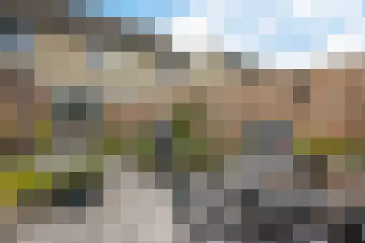 Kooistukken 11 Eelde thumbnail 41