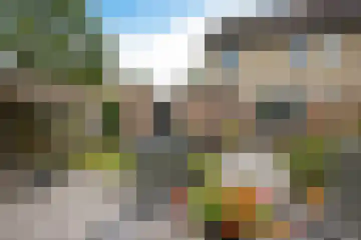 Kooistukken 11 Eelde thumbnail 42