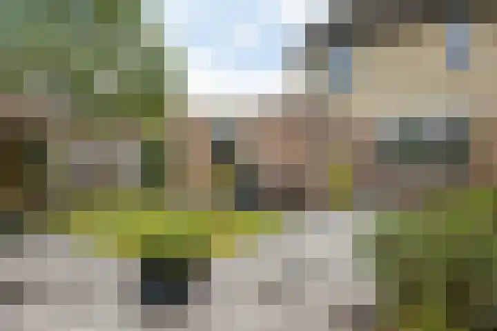 Kooistukken 11 Eelde thumbnail 43