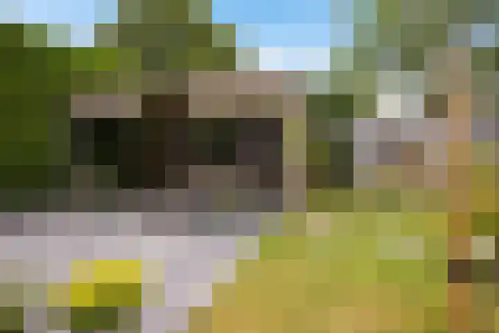 Kooistukken 11 Eelde thumbnail 44
