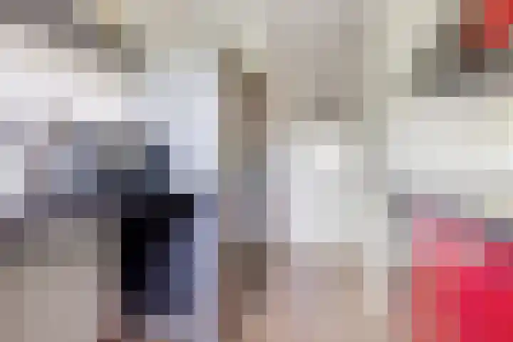 Kooistukken 17 a Eelde thumbnail 15