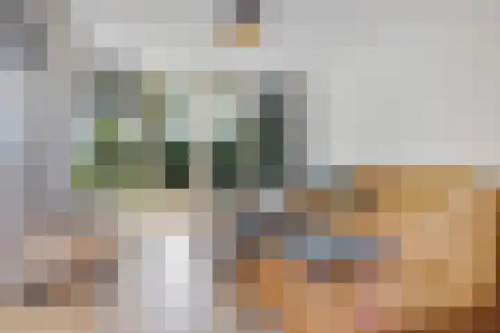 Kooistukken 17 a Eelde thumbnail 19