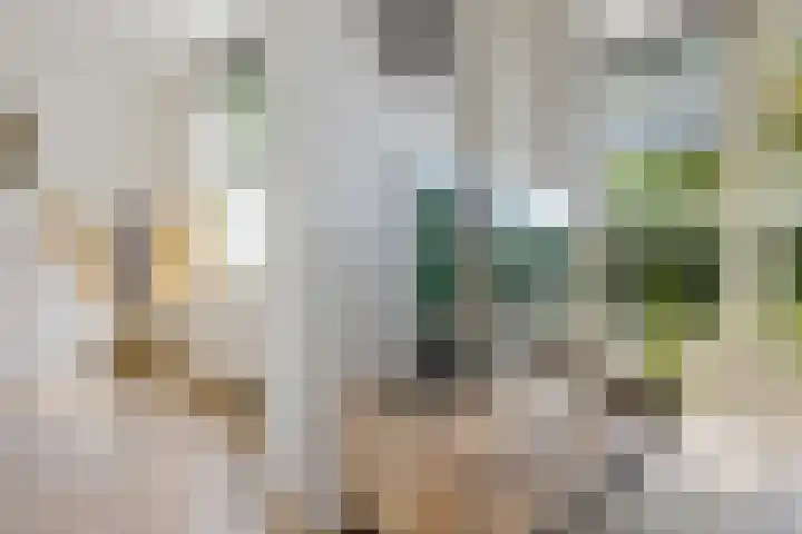 Kooistukken 17 a Eelde thumbnail 23