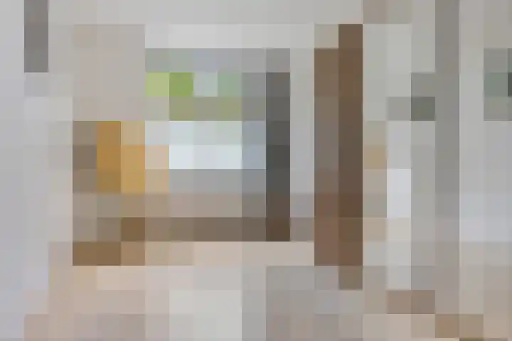 Kooistukken 17 a Eelde thumbnail 24