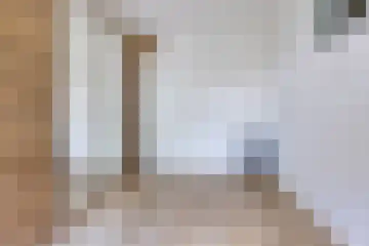 Kooistukken 17 a Eelde thumbnail 25