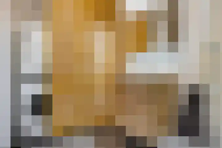 Kooistukken 17 a Eelde thumbnail 29