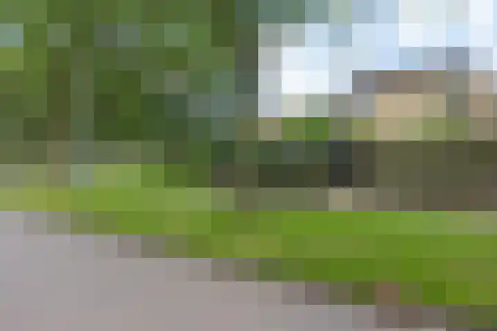 Kooistukken 17 a Eelde foto 3