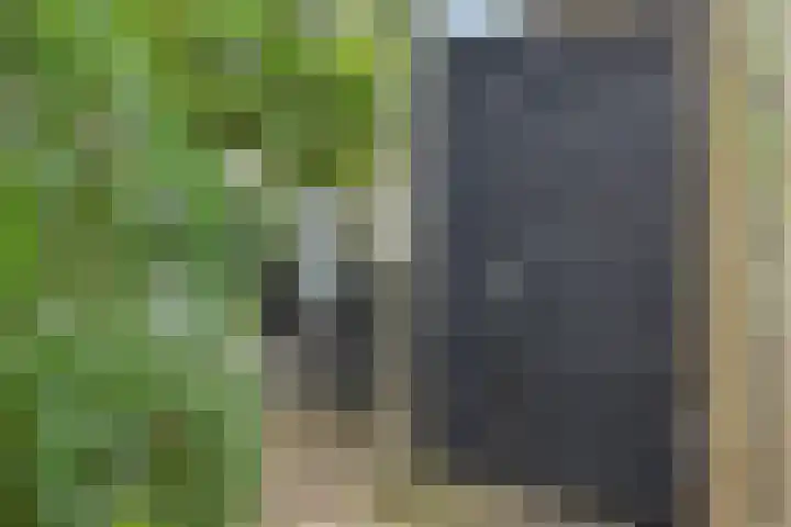 Kooistukken 17 a Eelde thumbnail 31