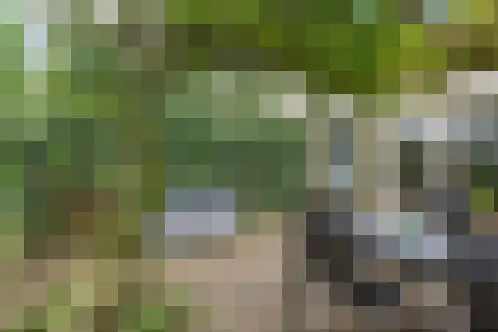 Kooistukken 17 a Eelde thumbnail 32