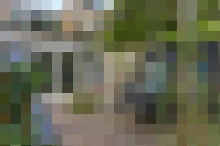 Kooistukken 17 a Eelde thumbnail 33