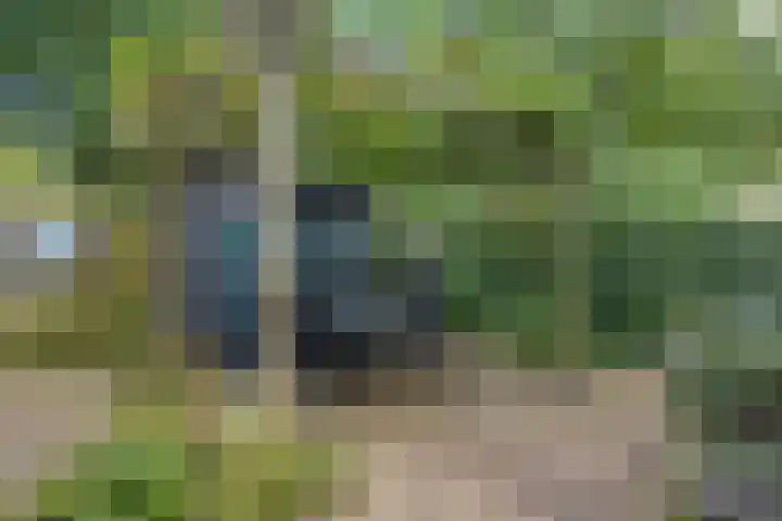 Kooistukken 17 a Eelde thumbnail 36