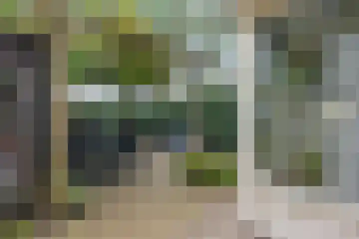Kooistukken 17 a Eelde thumbnail 37