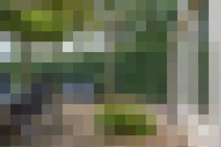 Kooistukken 17 a Eelde thumbnail 38