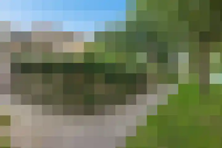 Kooistukken 17 a Eelde thumbnail 4