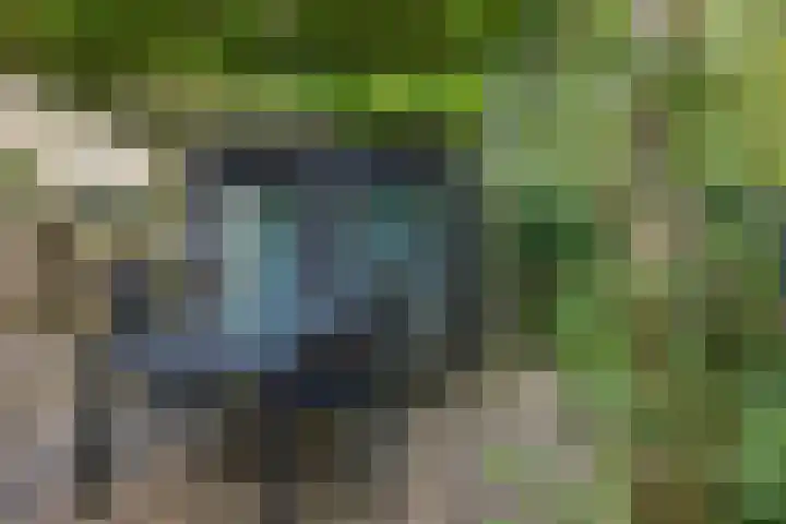 Kooistukken 17 a Eelde thumbnail 40