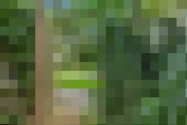 Kooistukken 17 a Eelde thumbnail 41