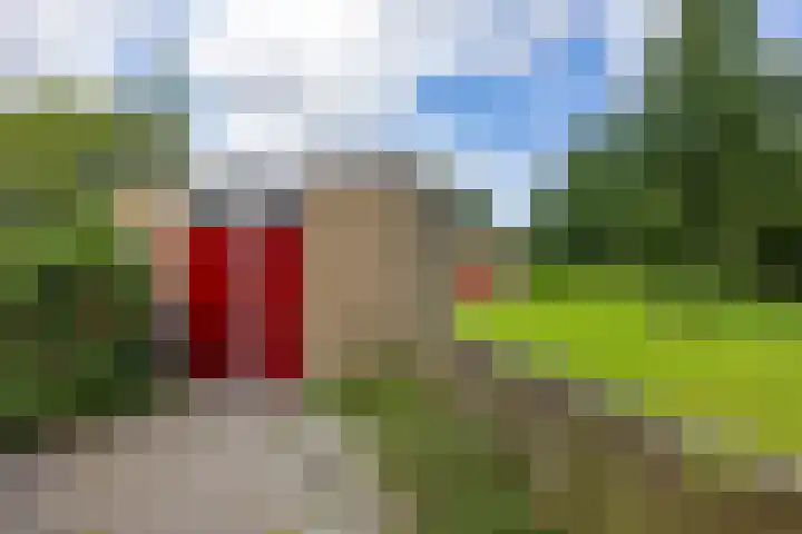 Kooistukken 17 a Eelde thumbnail 42