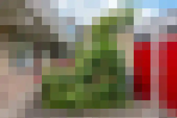 Kooistukken 17 a Eelde thumbnail 43